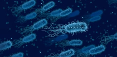 La legionella Sitehisa