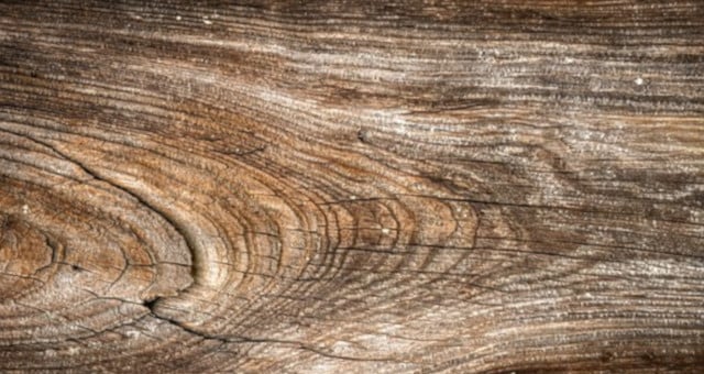 Cómo eliminar el moho negro de la madera - aquí la respuesta