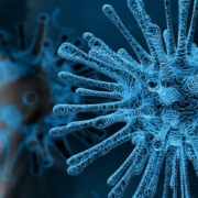 desinfección coronavirus