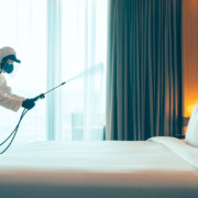 Cómo mantener hoteles libres de insectos y otras plagas