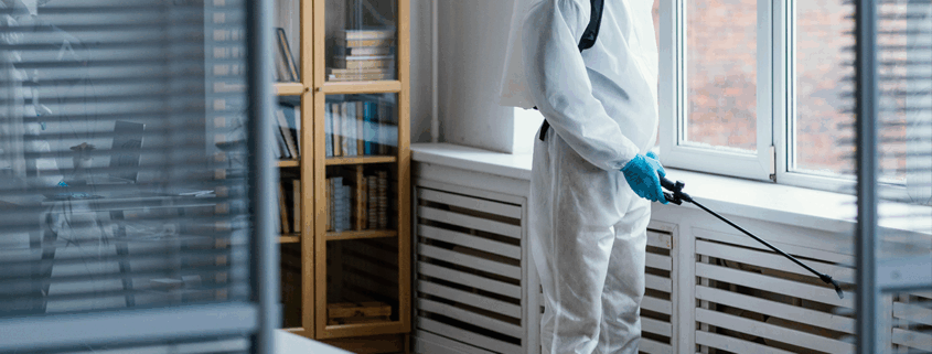 Cómo-implementar-un-plan-de-desratización-eficaz-en-tu-empresa