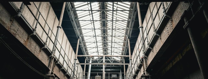 prevencion-plagas-en-almacenes